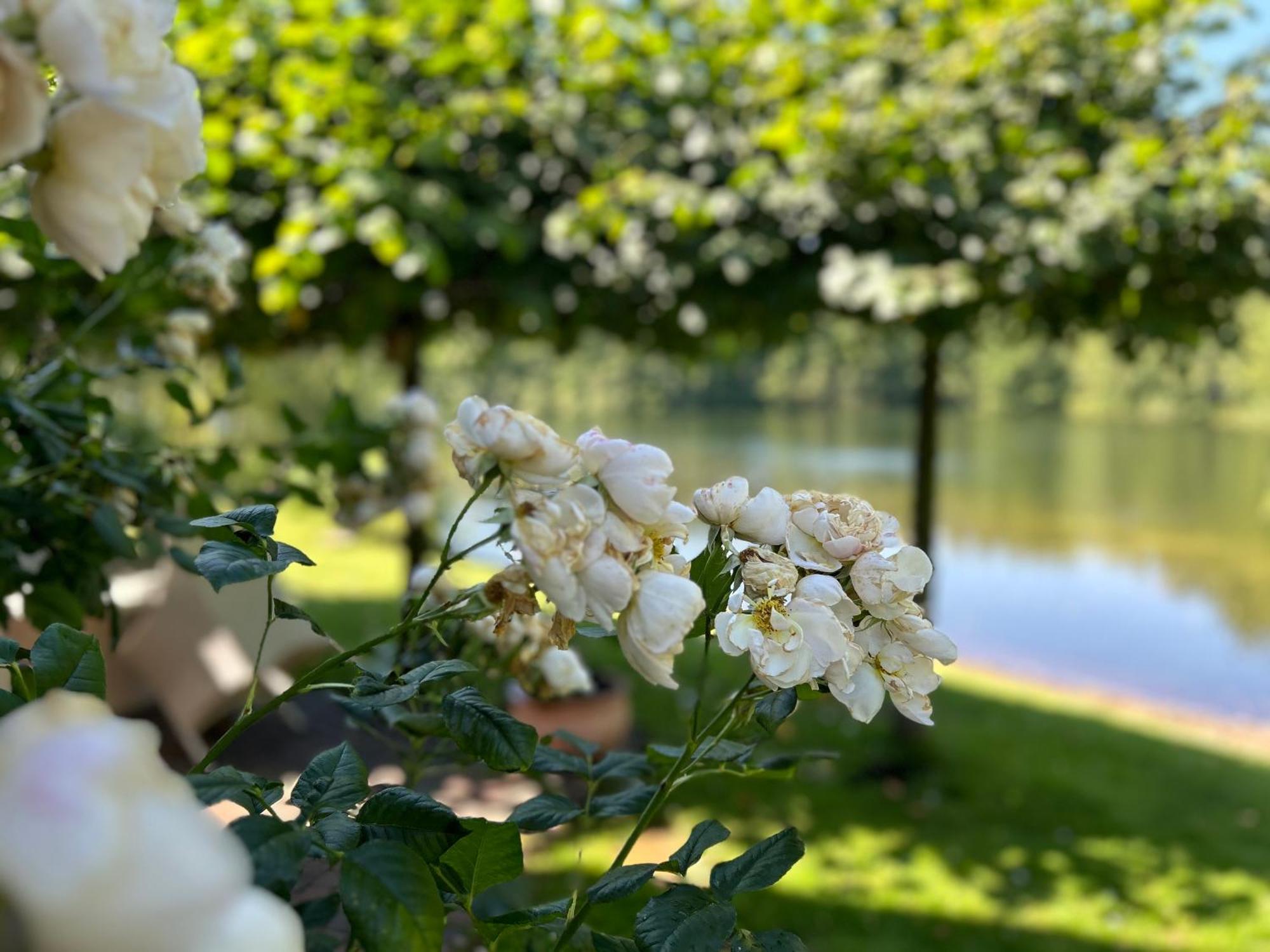 Gemuetliches Fachwerkhaus Am See Mit Kamin Warendorf Esterno foto